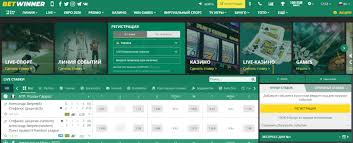 Comprehensive BetWinner Kazakhstan Review Features, Bonuses, and More Comprehensive BetWinner Kazakhstan Review Features, Bonuses, and More